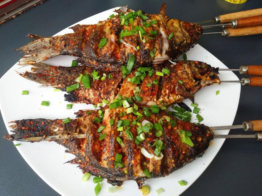 20211023122459102622.jpg 20211023122459102622.jpg