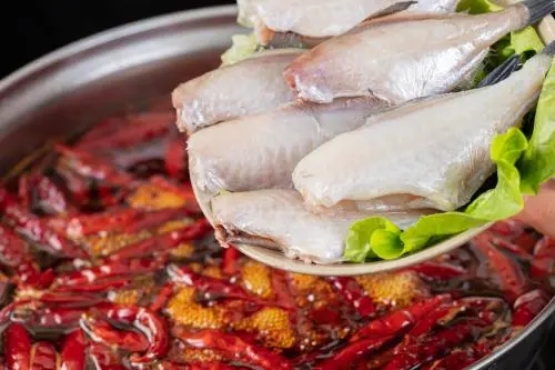 20230802145823698405.jpg u=2484712335,1240622359&fm=253&fmt=auto&app=120&f=JPEG.webp.jpg