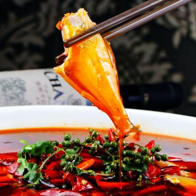 耗兒魚技術(shù)培訓(xùn)在哪里學(xué)？